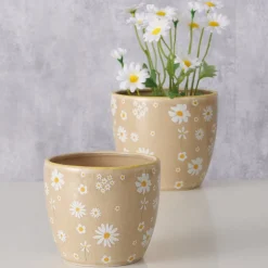 Ceramiczny Zestaw Donic Honey Beżowy z Stokrotkami