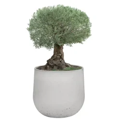 Donica Betonowa Zewnętrzna Zadora BOWL XL 115x100 cm szary naturalny