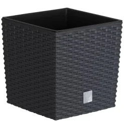 Donica ogrodowa z wkładem Rato Low 17 x 17 x 17 cm PROSPERPLAST