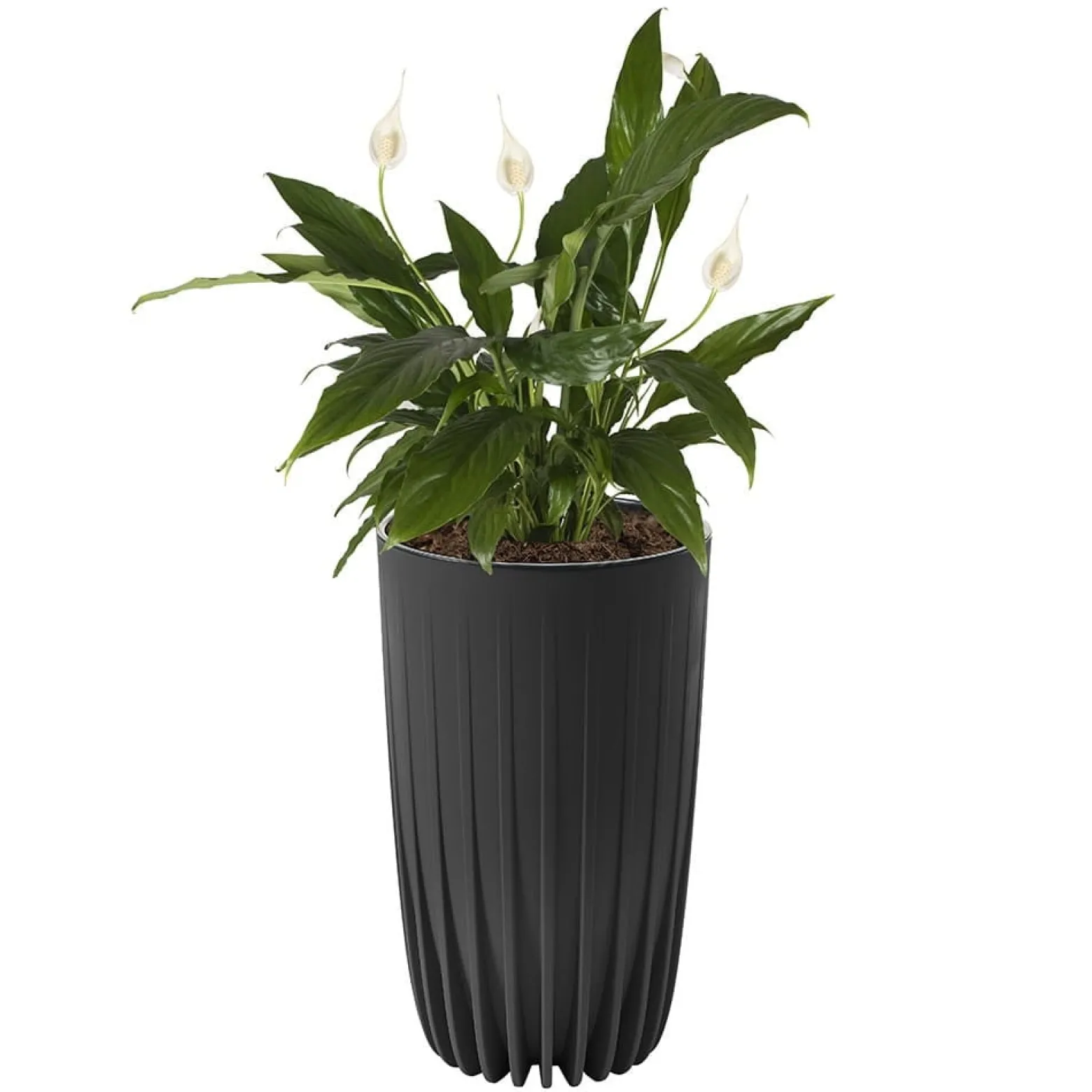Doniczka MIRA ECO recycled wysoka 250 - czarny LA984-04 Lamela