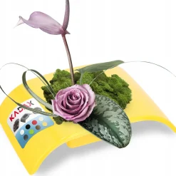 Doniczka Osłonka Donica Ikebana Kolory Kompozycja