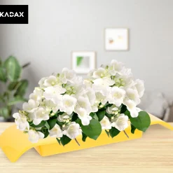 Doniczka Osłonka Donica Ikebana Kolory Kompozycja