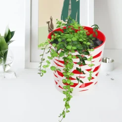 Doniczka Osłonka Wkład Donica Kolory Czerwona 15cm