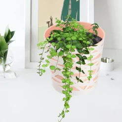 Doniczka Osłonka Wkład Donica Kolory Beż 17cm