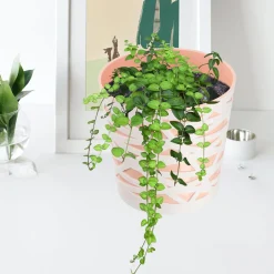 Doniczka Osłonka Wkład Donica Kolory Beż 17cm