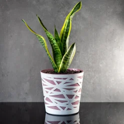 Doniczka Osłonka Wkład Donica Kolory Różowa 19cm