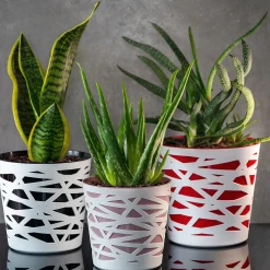 Doniczka Osłonka Wkład Donica Kolory Różowa 19cm