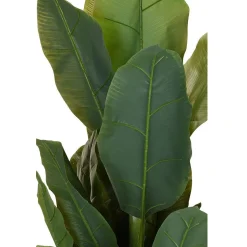 Duży bananowiec w donicy 165 cm dekoracyjny zielony