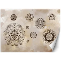Feeby Fototapeta, Kształty kwiaty geometryczne 150x105