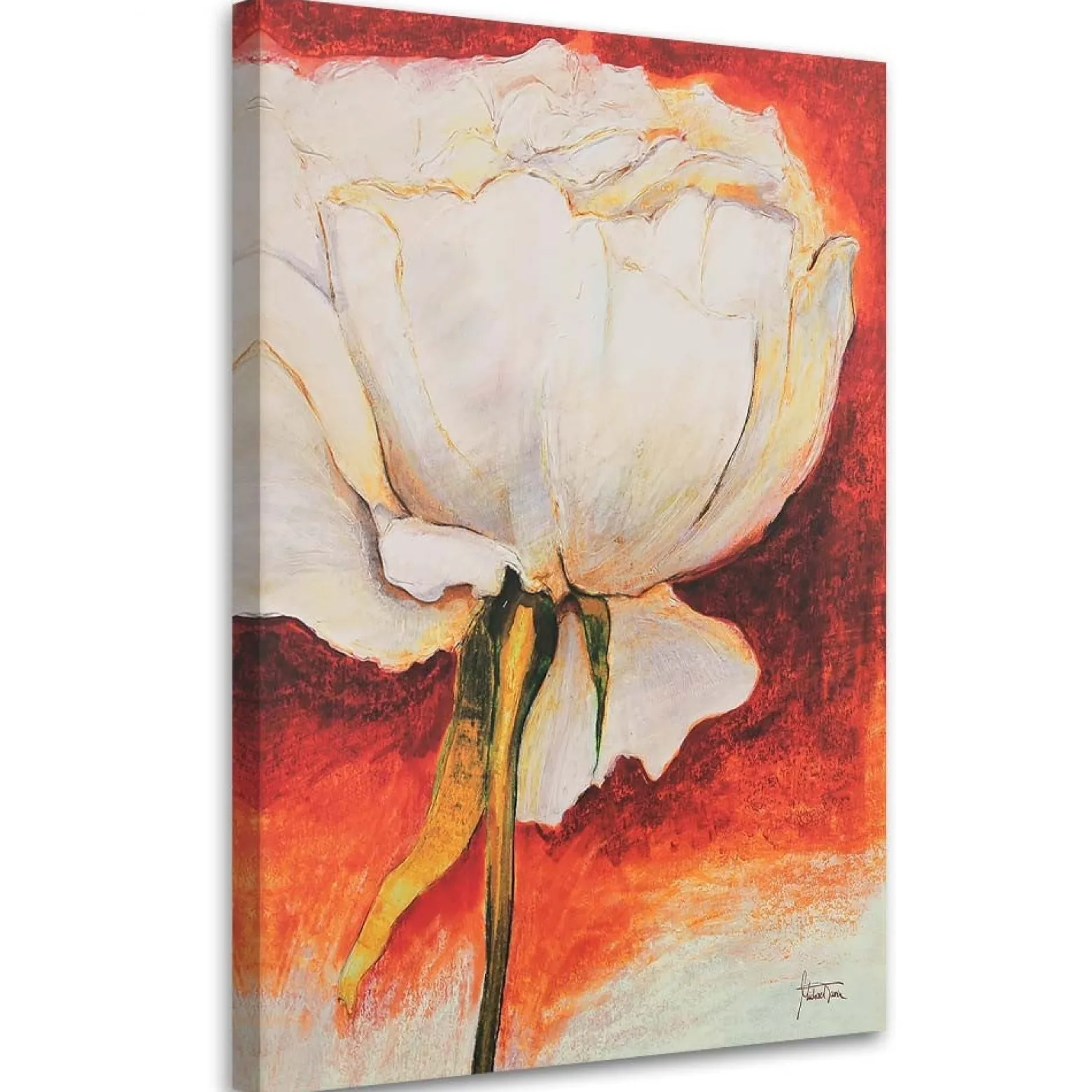 Feeby Obraz na płótnie Biała piwonia ręcznie malowana 40x60