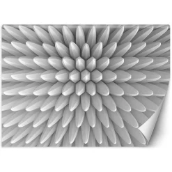 Feeby Fototapeta, Abstrakcja kolce tekstura 3D 150x105