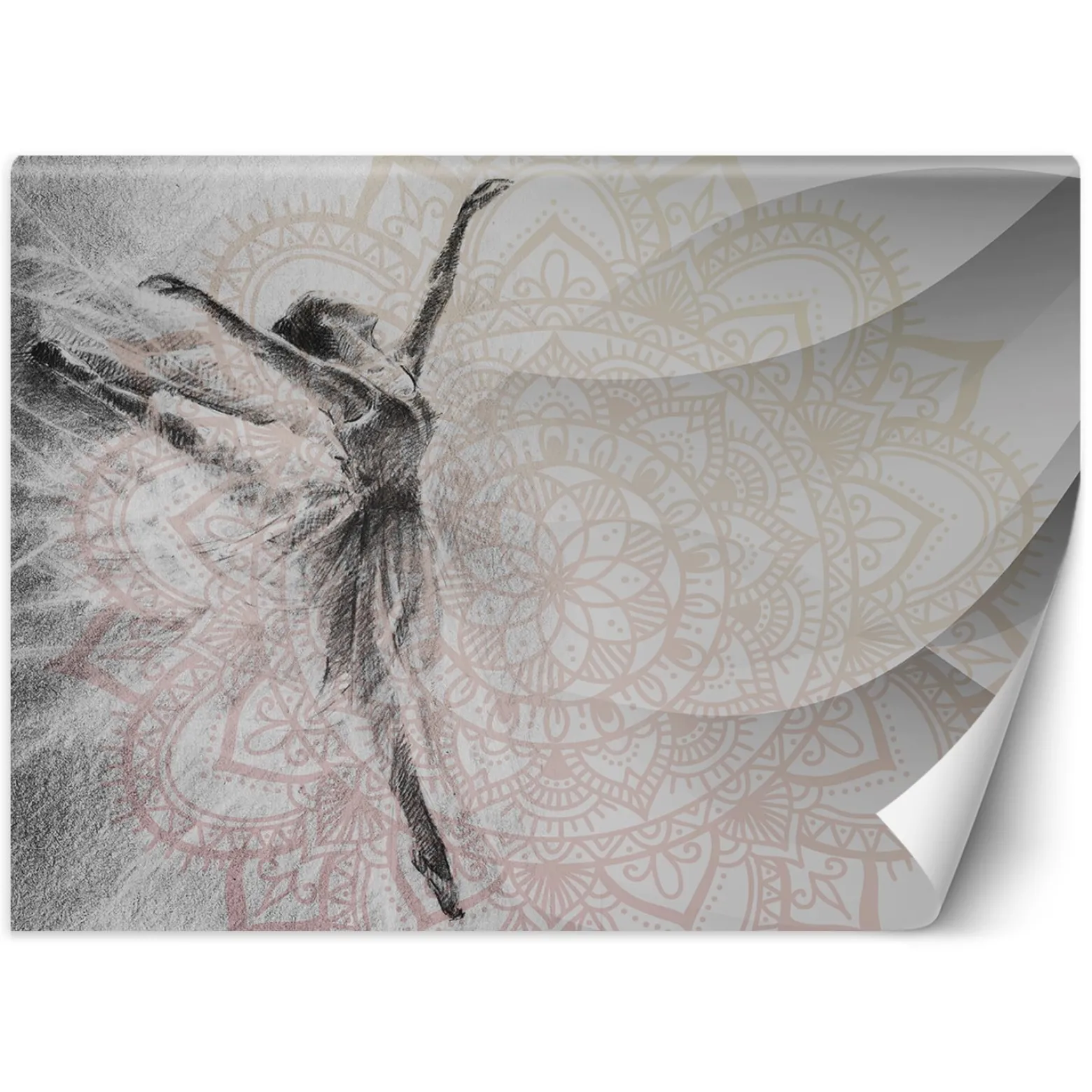 Feeby Fototapeta, Baletnica Mandala 150x105