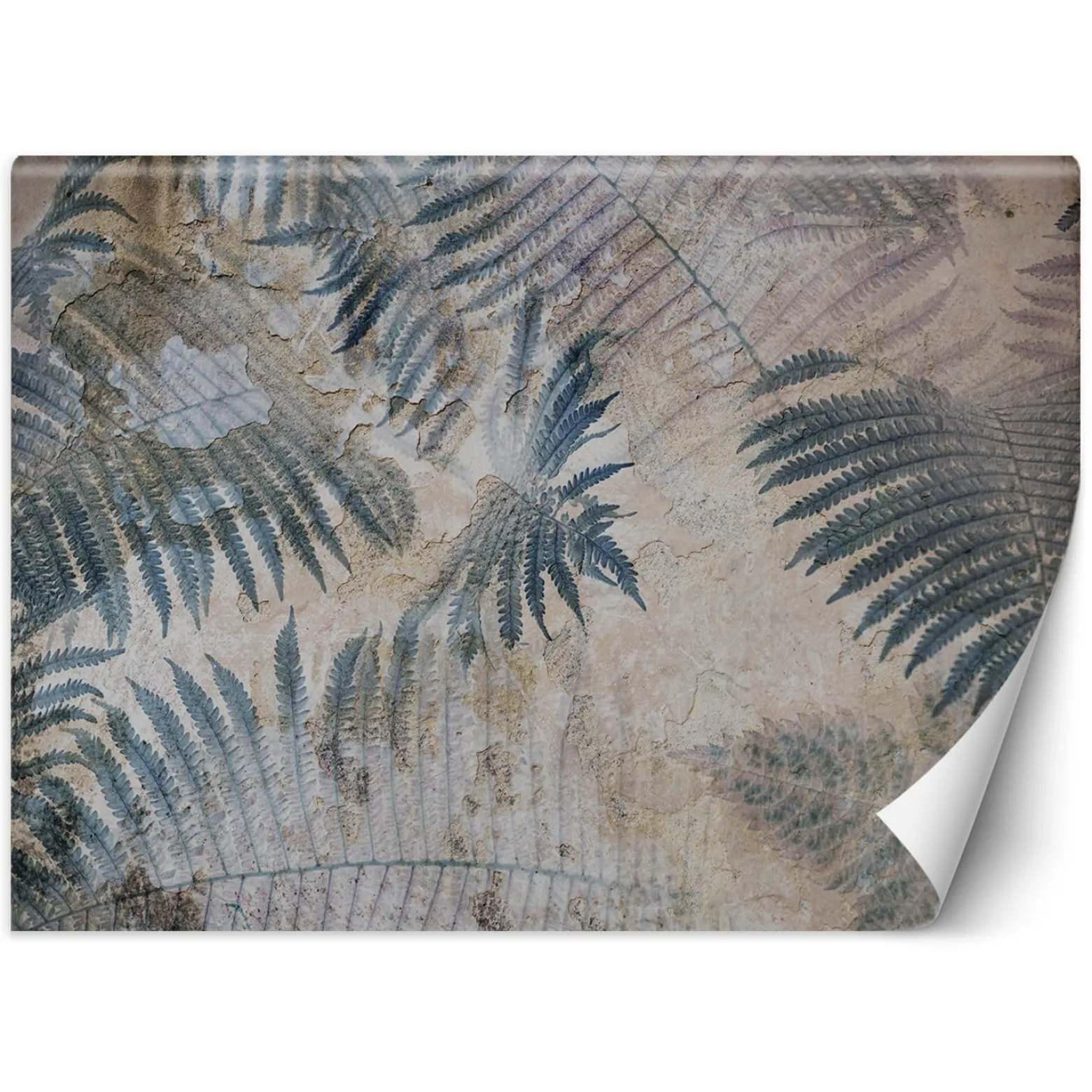 Feeby Fototapeta, Beton Paproć Liście Niebieski 150x105