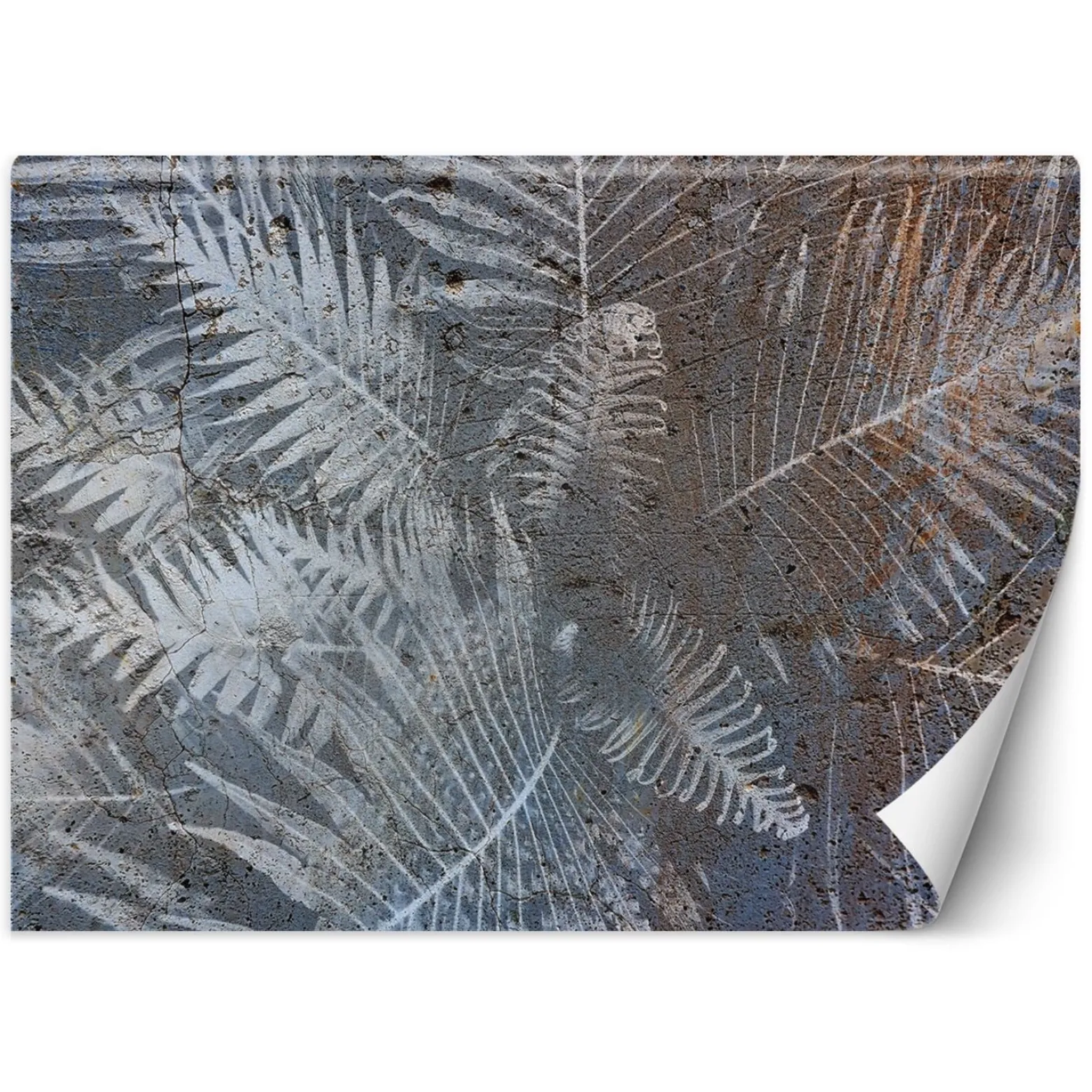 Feeby Fototapeta, Liście palmy na betonie 150x105