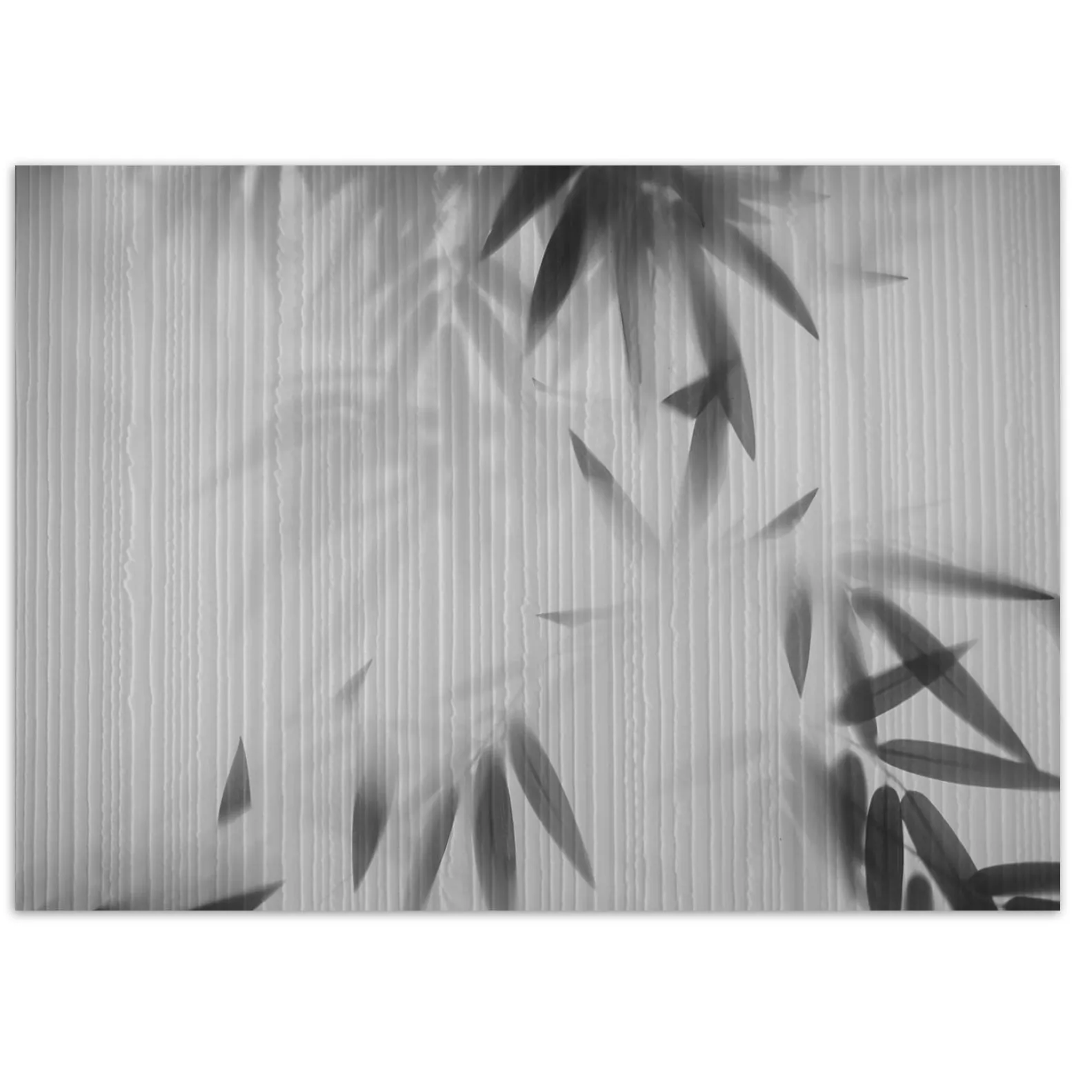 Feeby Fototapeta, Liście we mgle abstrakcja 150x105