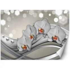 Feeby Fototapeta, Orchidea abstrakcja 150x105