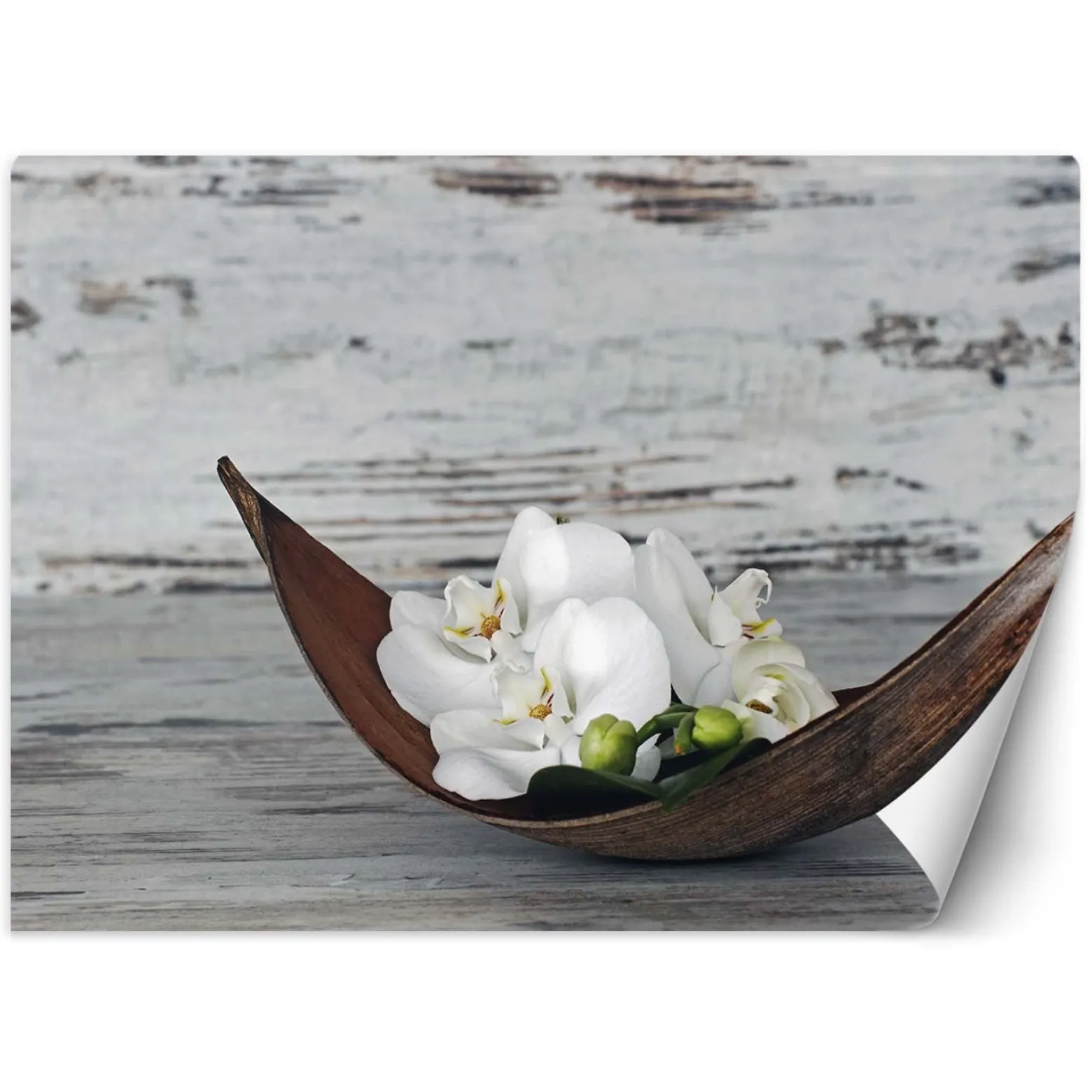 Feeby Fototapeta, Orchidea zen spa 150x105