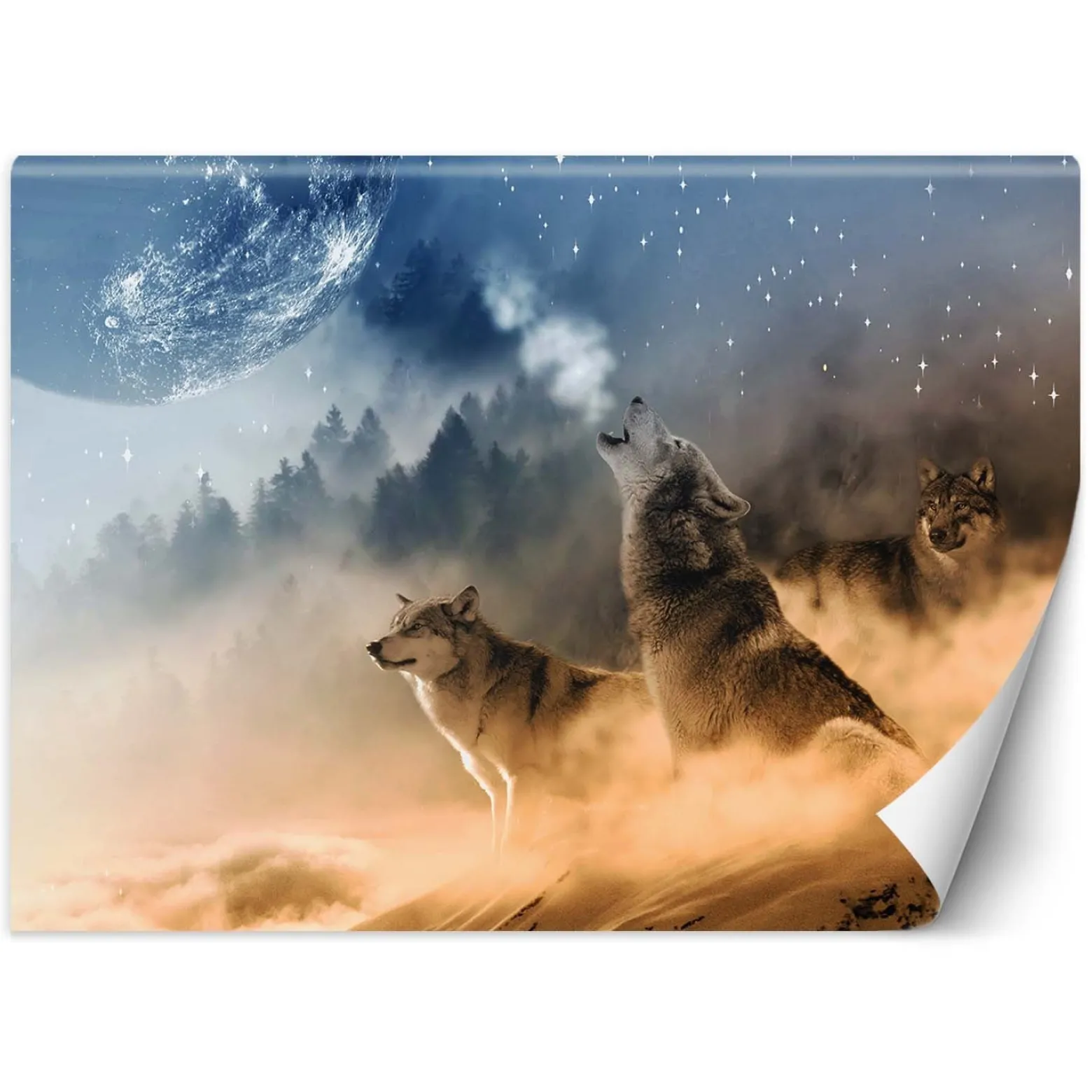 Feeby Fototapeta, Wilki las we mgle 150x105