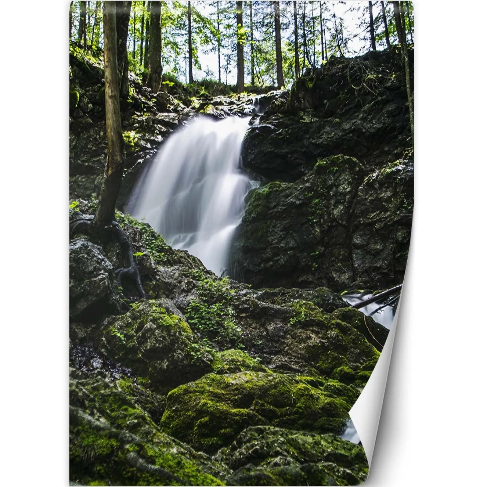 Feeby Fototapeta, Wodospad w lesie 100x140