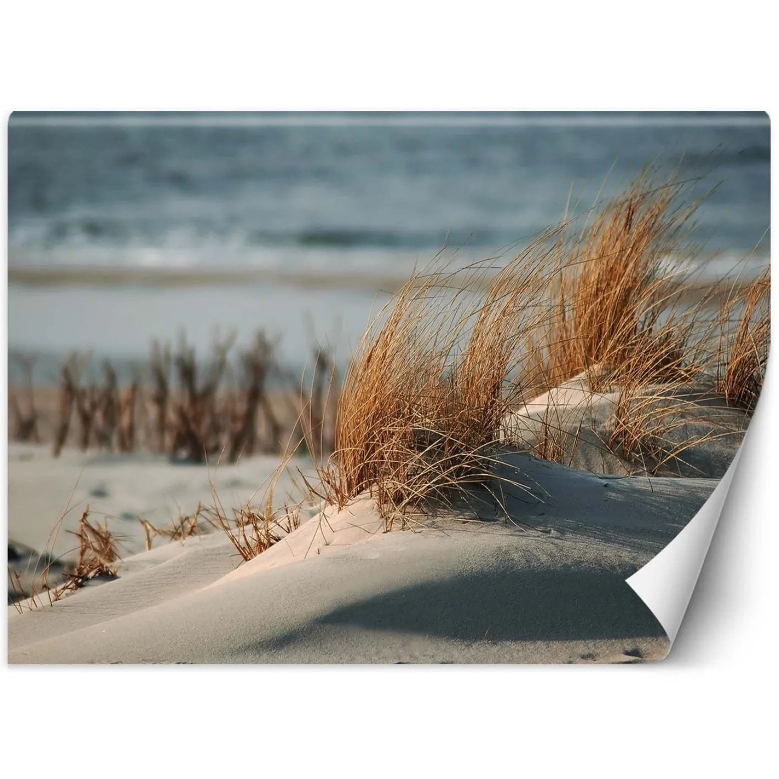 Feeby Fototapeta, Wydmy nad Morzem Bałtyckim 150x105
