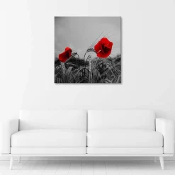 Feeby Obraz, Czerwone maki i zboże 60x60