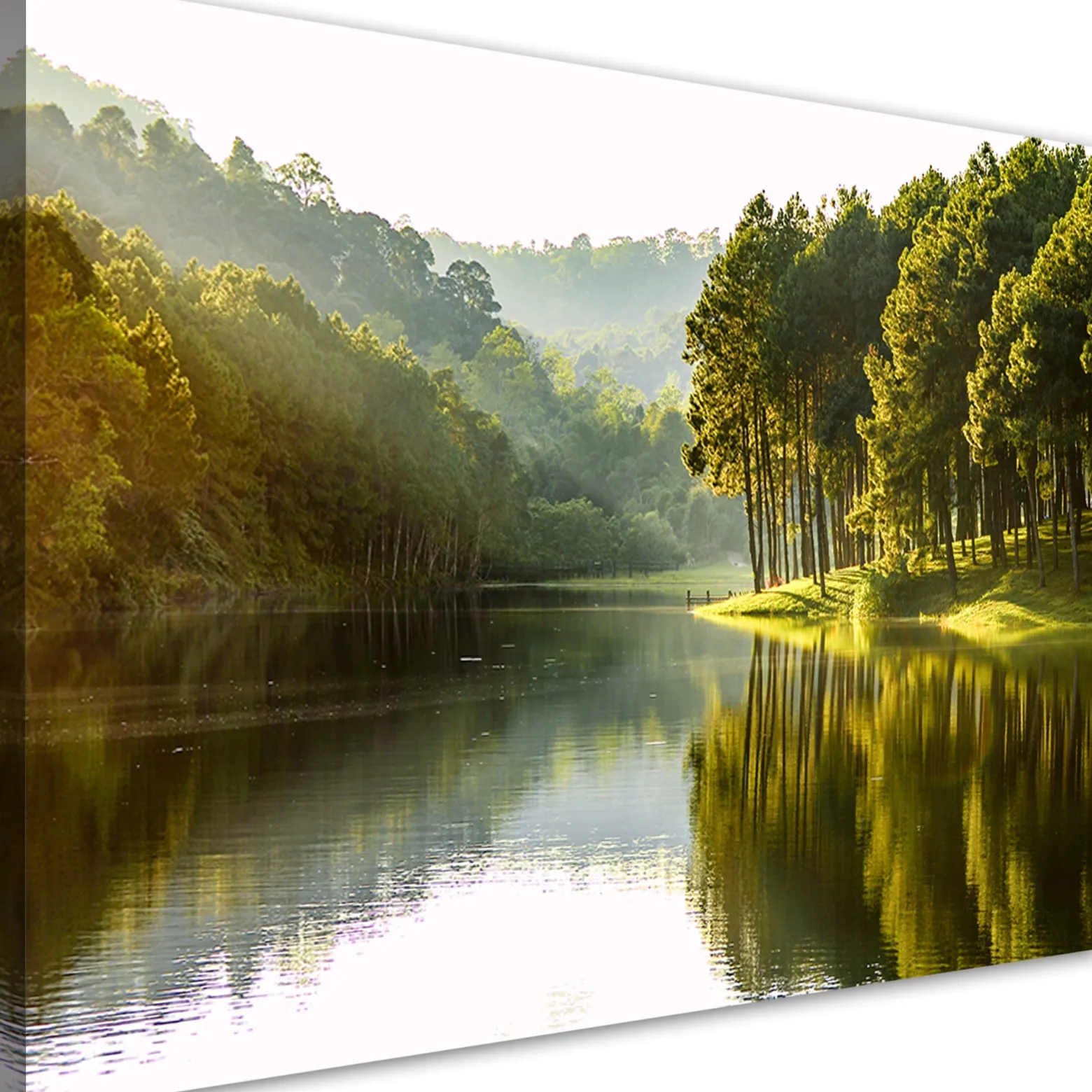 Feeby Obraz, Krajobraz las drzewa natura 60x40