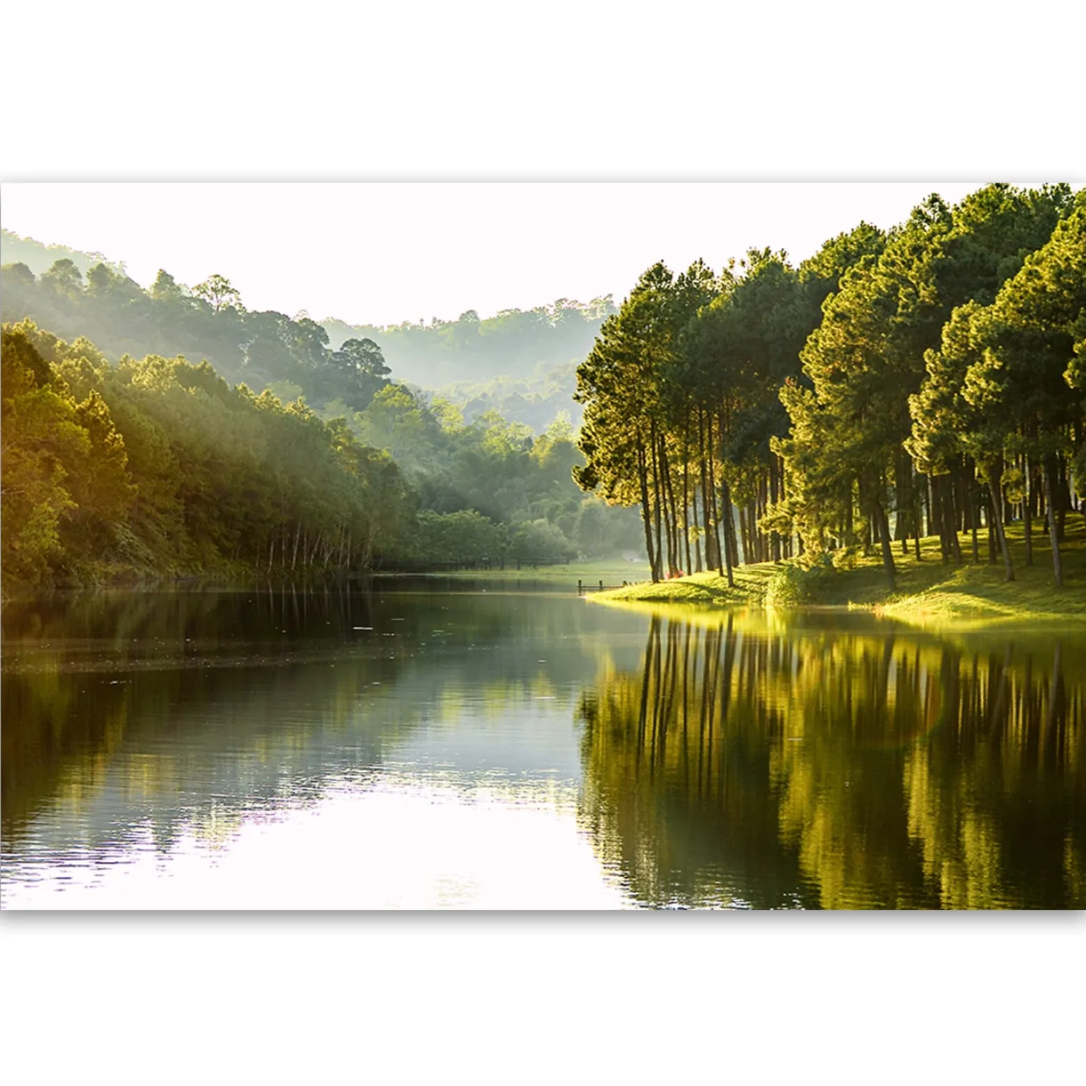 Feeby Obraz, Krajobraz las drzewa natura 60x40