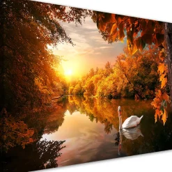 Feeby Obraz na płótnie, Łabędź na stawie jesień 60x40