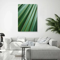 Feeby Obraz na płótnie Fragment liścia palmy 40x60