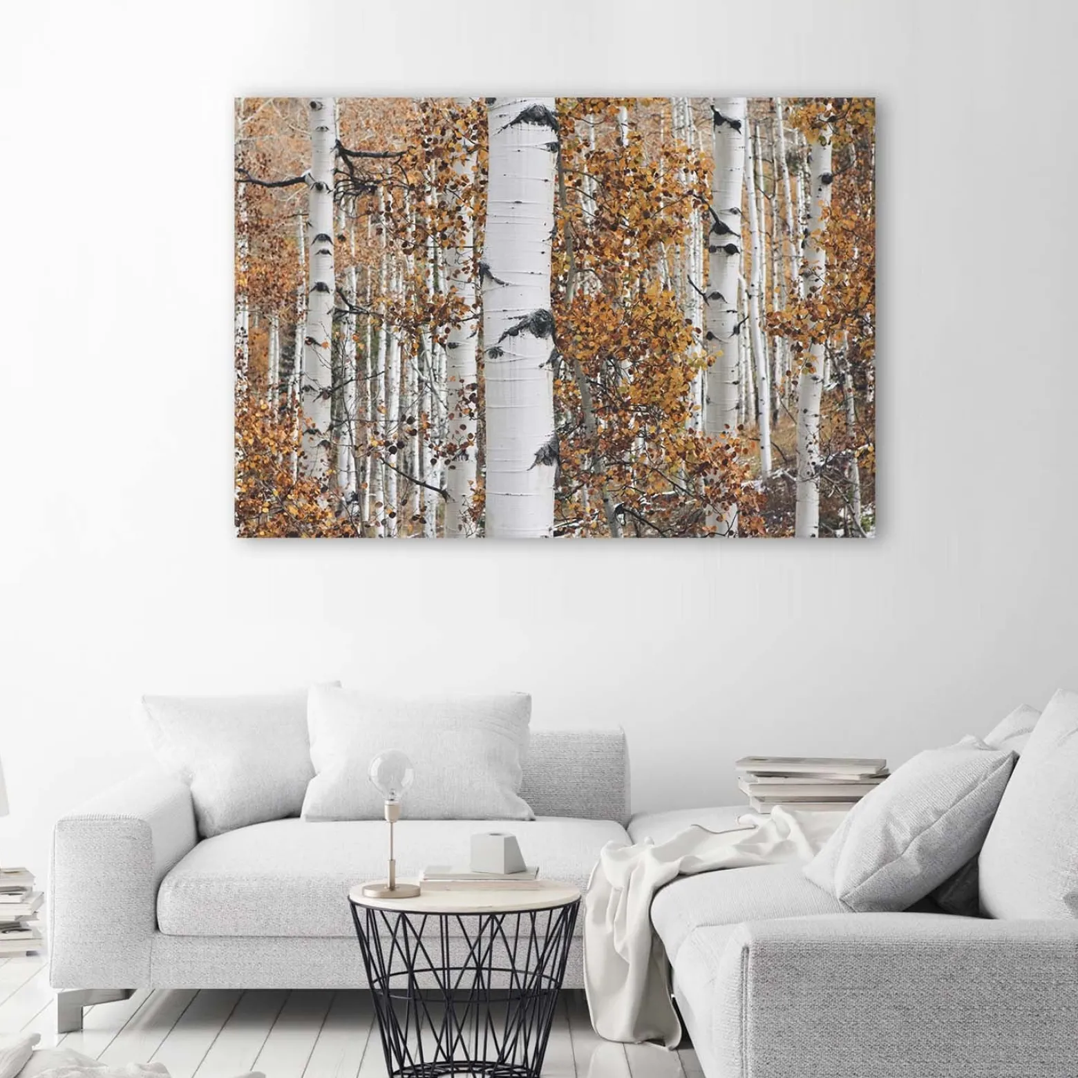 Feeby Obraz na płótnie Las brzozowy pejzaż natura 60x40