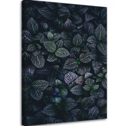Feeby Obraz na płótnie, Liście rośliny natura 40x60