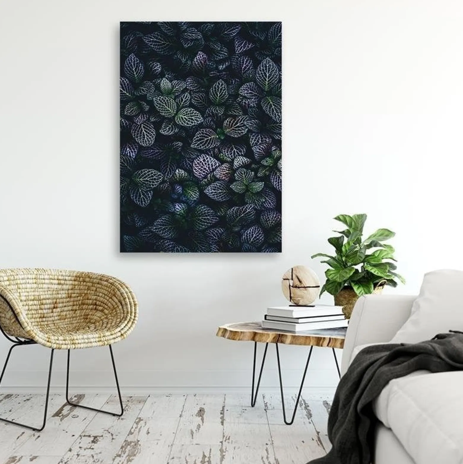 Feeby Obraz na płótnie, Liście rośliny natura 40x60