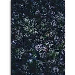 Feeby Obraz na płótnie, Liście rośliny natura 40x60
