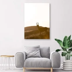Feeby Obraz na płótnie Młody jeleń 40x60