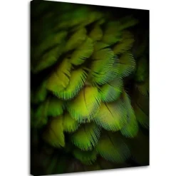 Feeby Obraz na płótnie Ozdobne zielone pióra 40x60