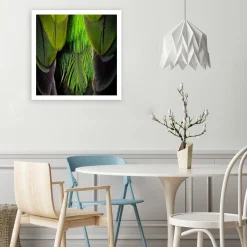 Feeby Obraz na płótnie, Pióra Ptaki Zielony Natura 30x30