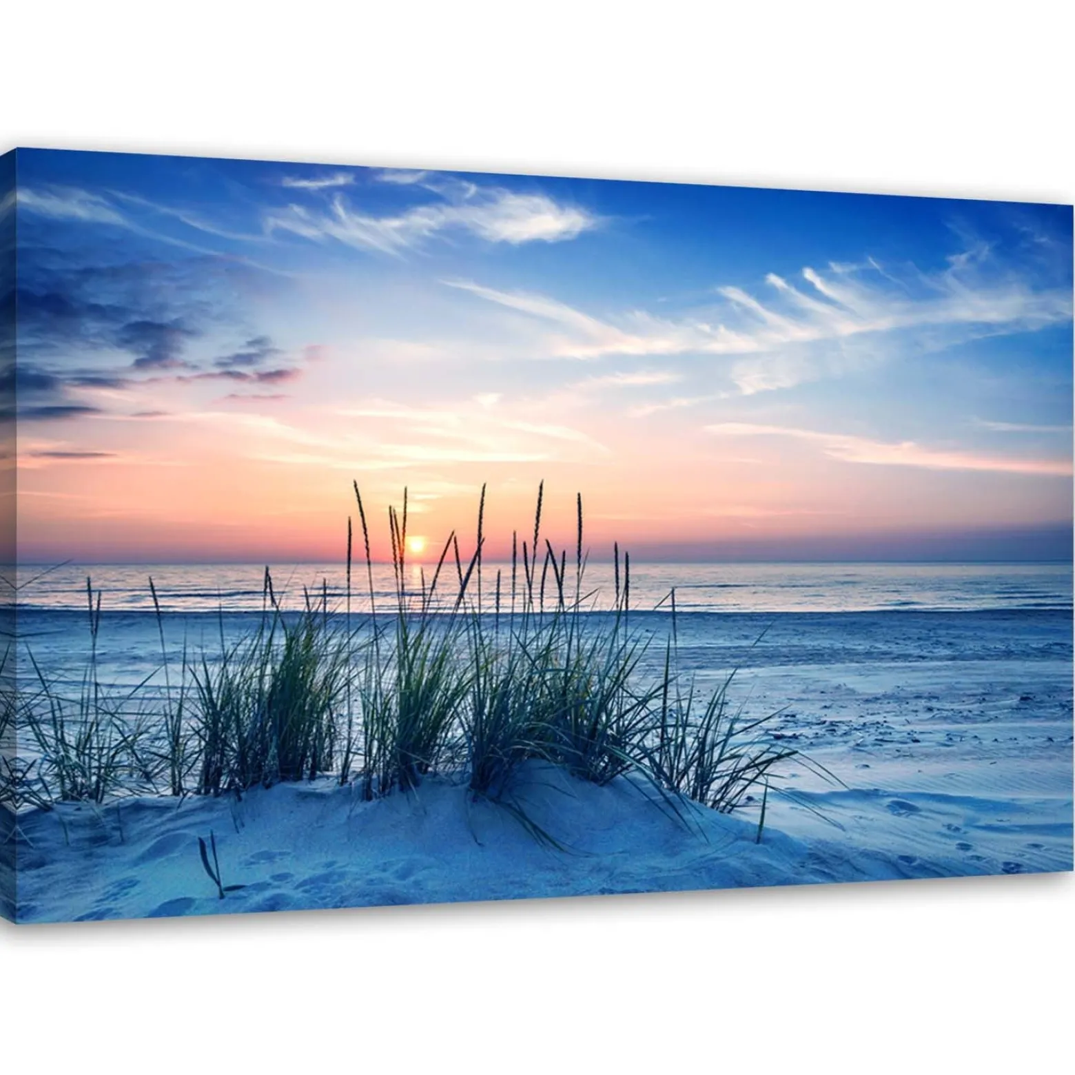 Feeby Obraz na płótnie Plaża morze trawy 60x40
