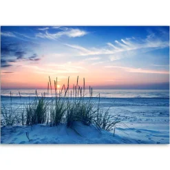 Feeby Obraz na płótnie Plaża morze trawy 60x40