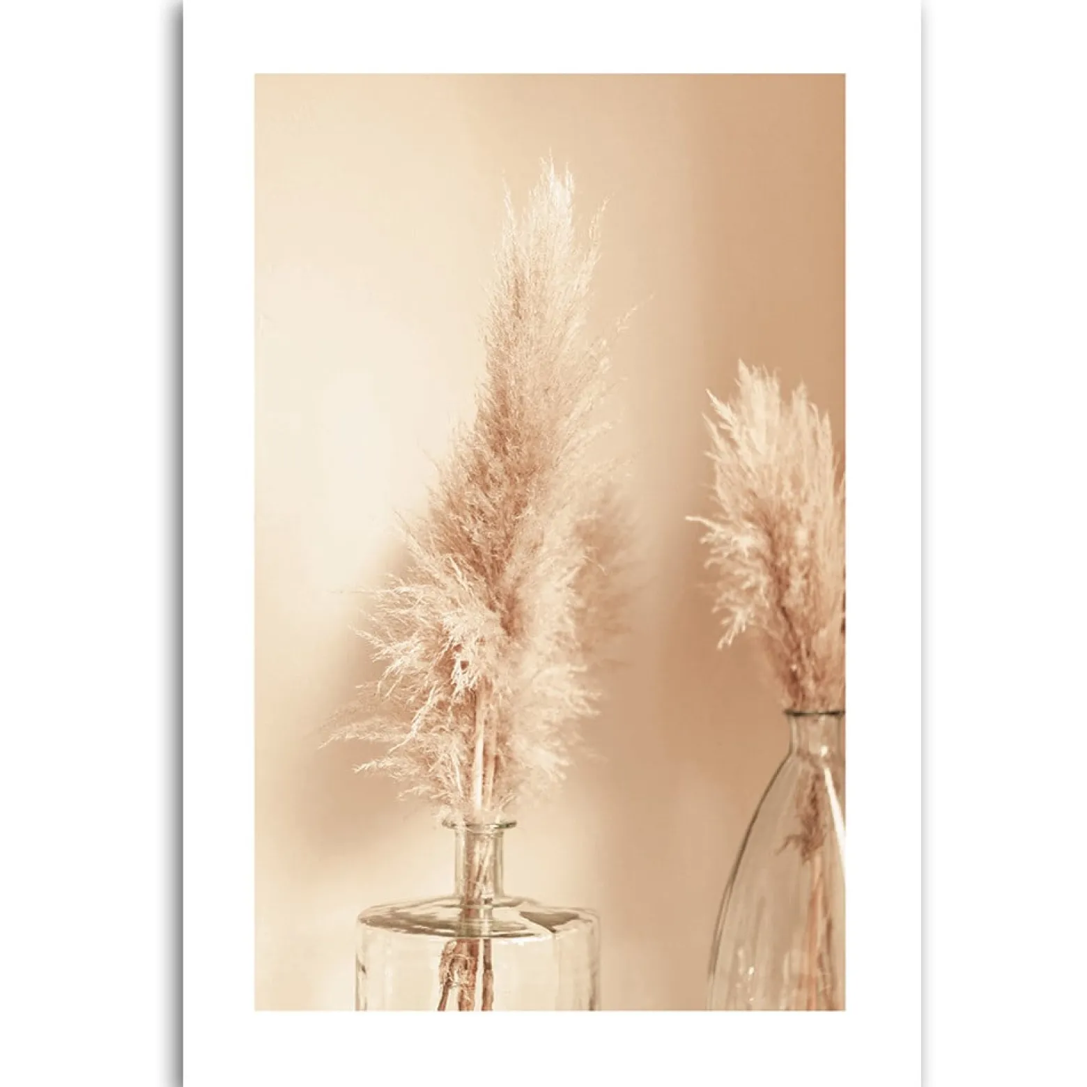 Feeby Obraz na płótnie, Trawa pampasowa w wazonie 40x60