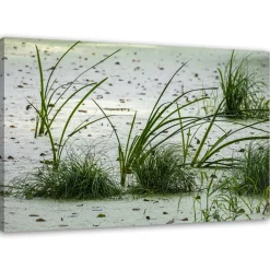 Feeby Obraz na płótnie Trawa wydmy piasek plaża 60x40