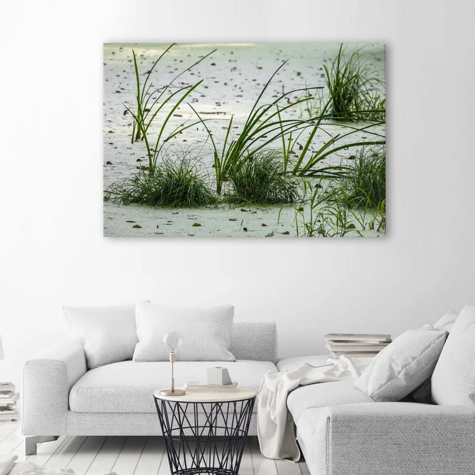 Feeby Obraz na płótnie Trawa wydmy piasek plaża 60x40