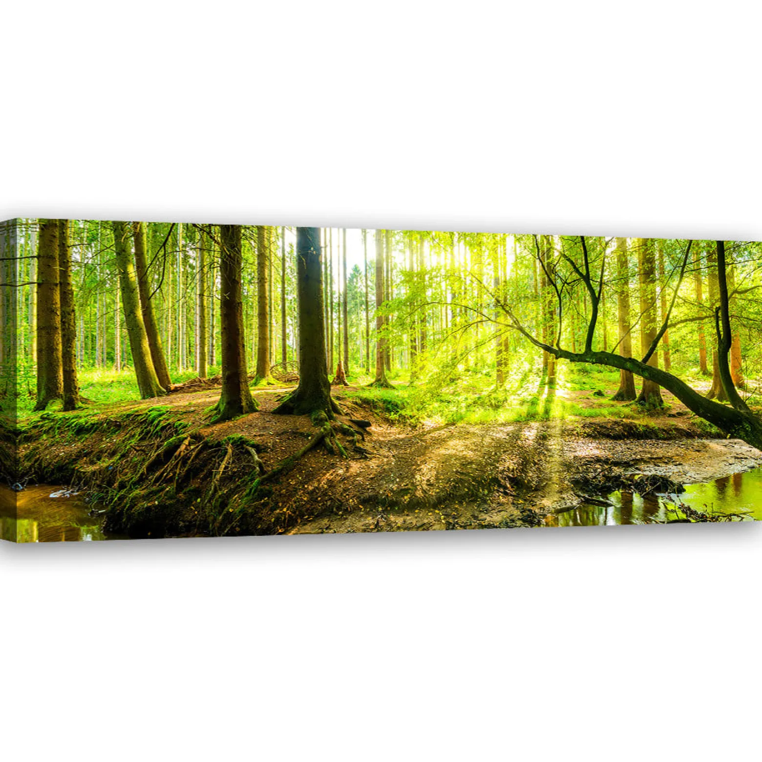 Feeby Obraz na płótnie, Zielony las 90x30