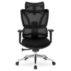 Fotel Biurowy Krzesło Obrotowe Ergonomiczny z Podnóżkiem Czarny DELSIN