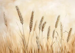 Fototapeta Boho Pole Beżowa Natura Sypialnia Salon Tapeta Flizelina 250X175