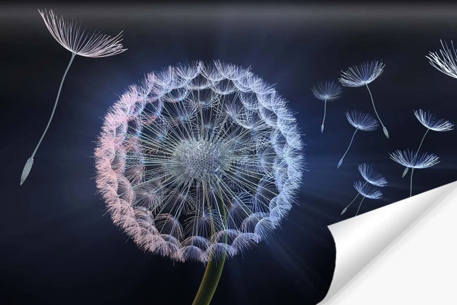 Fototapeta Abstrakcyjne Dmuchawce Efekt 3D 90x60cm