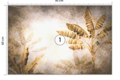 Fototapeta Ścienna Abstrakcyjne Drzewa Bananowe 90x60cm