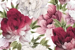 Fototapeta Delikatne Różowe PEONIE Kwiaty 90x60cm