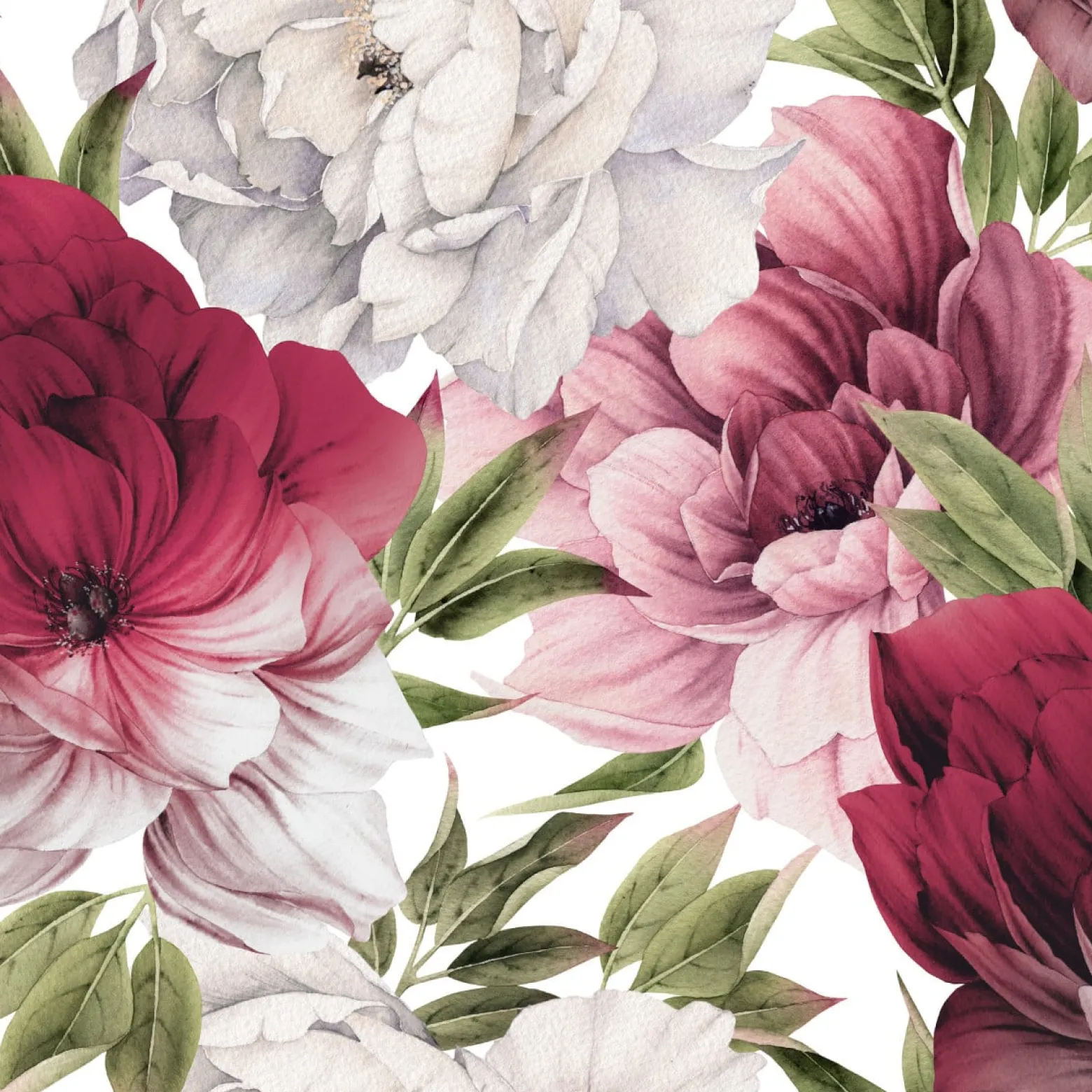 Fototapeta Delikatne Różowe PEONIE Kwiaty 90x60cm