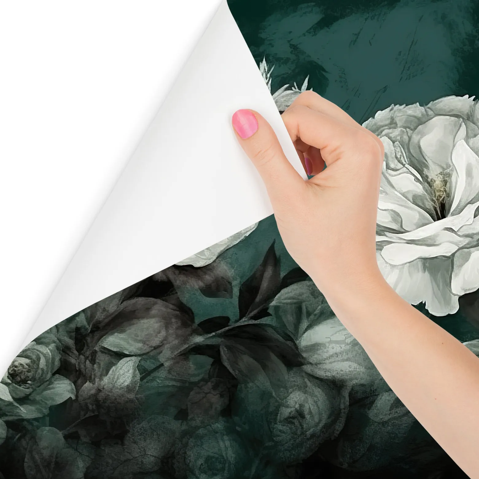 Fototapeta Do Salonu Akwarelowe Białe Peonie 90x60cm