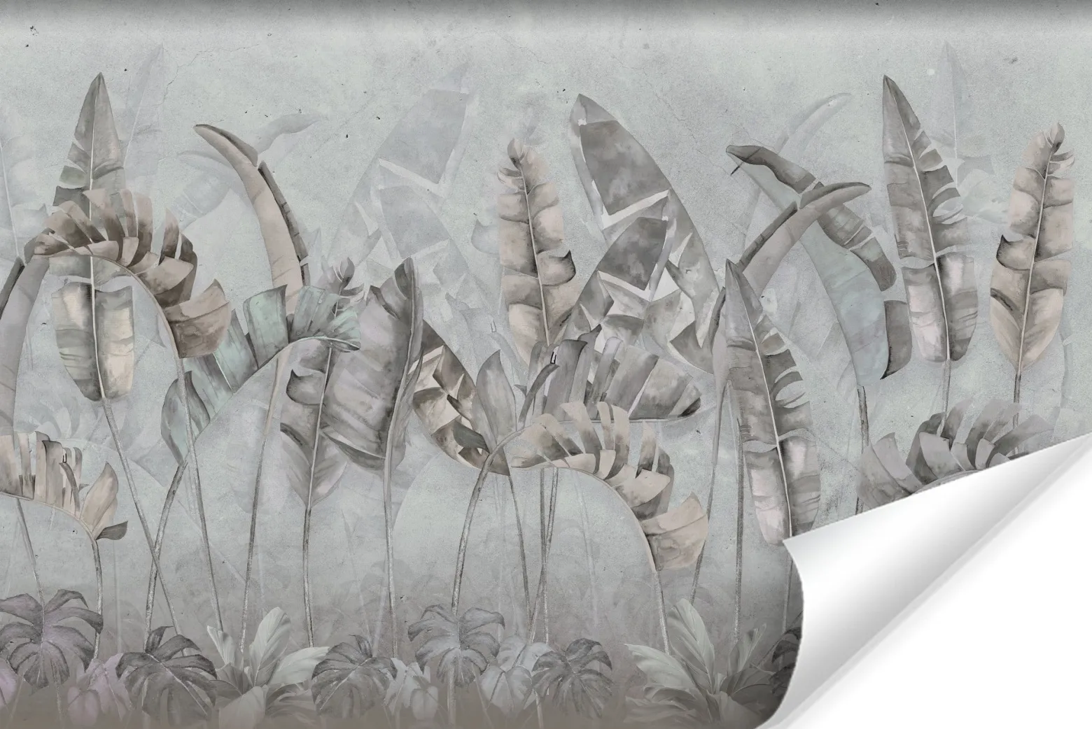 Fototapeta Liście Bananowca Abstrakcja 90x60cm